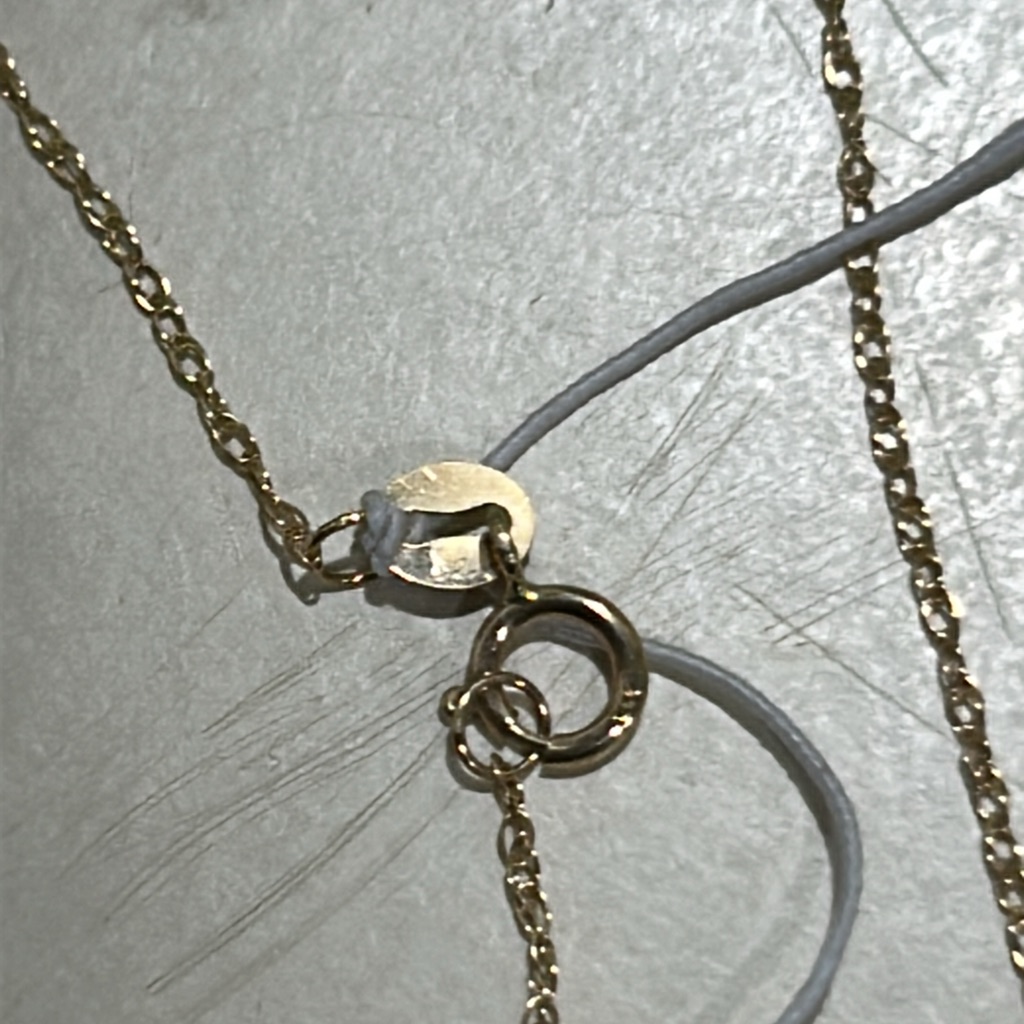 Stone & Strand Zodiac Coin Pendant Necklace Nwot — image 7 of 8